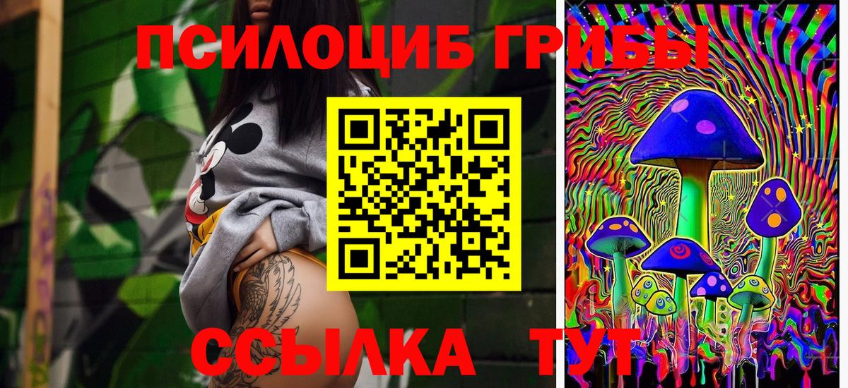 как найти закладки  Галлюциногенные грибы Psilocybe  Вход с VPN  Псилоцибиновые грибы Psilocybine cubensis  Дивногорск 